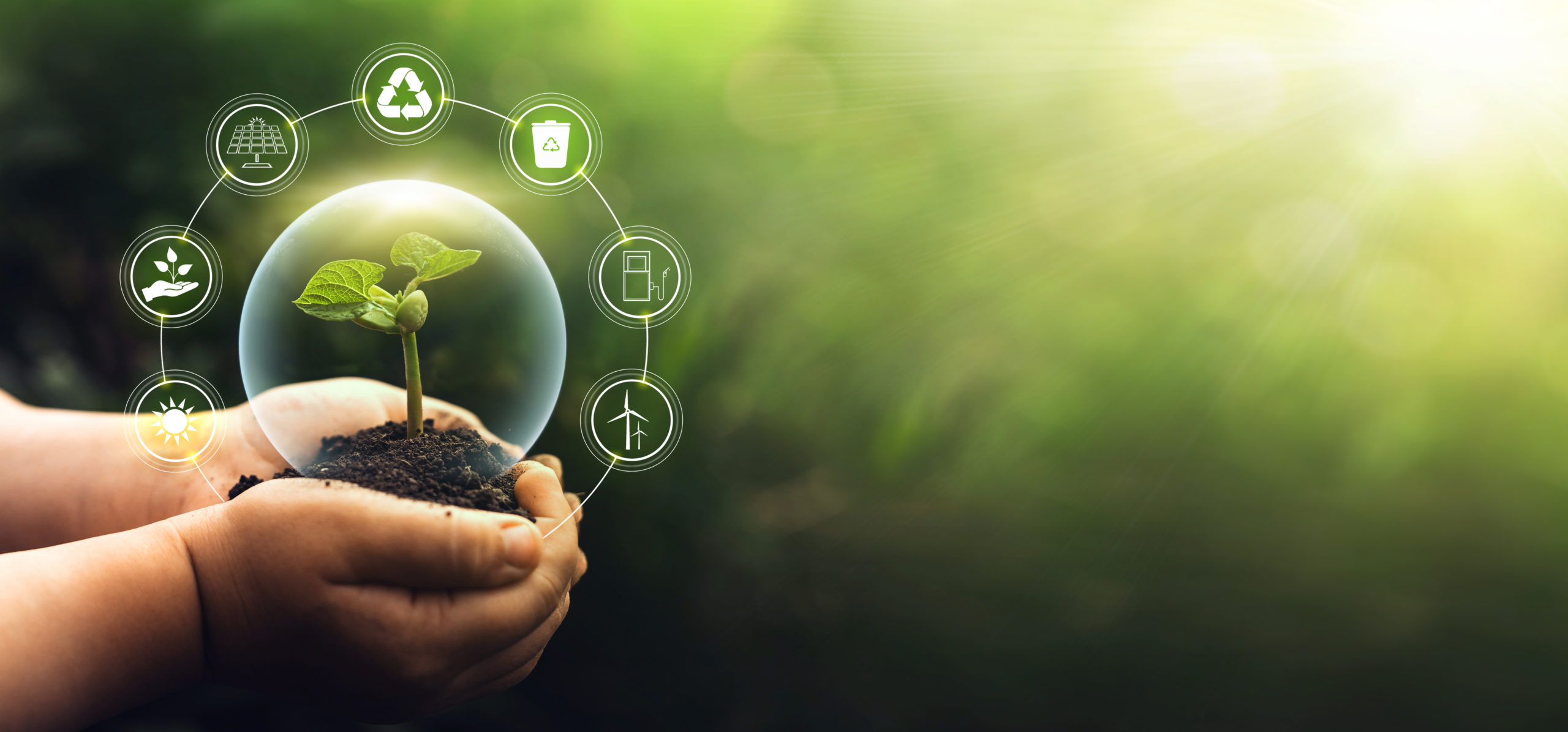 Sources for renewable, sustainable development. Environment and