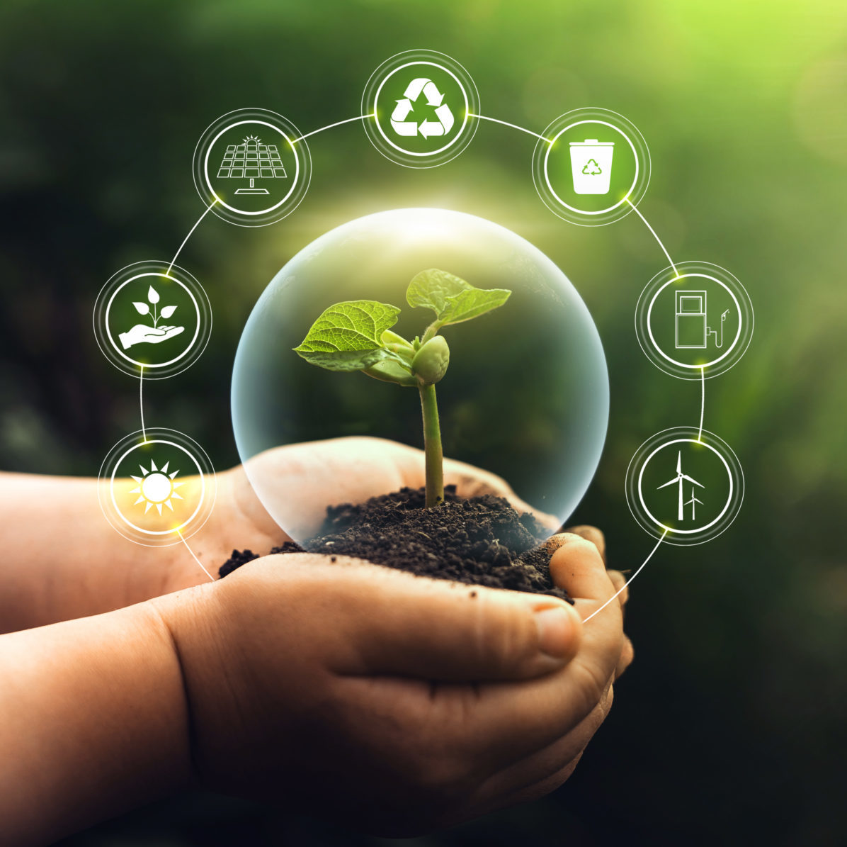 Sources for renewable, sustainable development. Environment and
